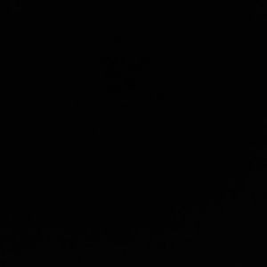 Meet your Posher, Bob